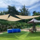 봄이야 놀자 이미지