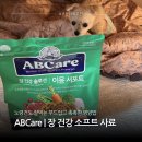 에이비씨케어솔루션 | 노견 사료 추천 ABCare 이뮨서포트 | 장건강 기호성 모두 잡은 후기