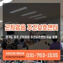 해오름주간활동센터 | 경기도 광주 곤지암읍 주간보호센터 미술 색칠 활동 후기