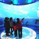 태백고생대자연사박물관 이미지