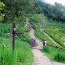 황령산유원지 생태숲 이미지