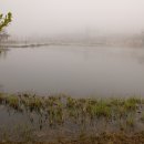 매월저수지1 이미지