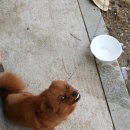 이리농장 이미지