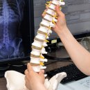 안산중앙튼튼탑의원 이미지