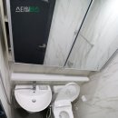 무지개대림 이미지