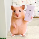 김*만 - 안양시 동안구 | 강남 가볼만한곳 놀거리, 김햄찌 팝업 현장 핫플 웨이팅 성공 후기