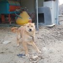 용소골농장 이미지