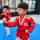 햇살태권도 이미지