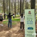 국립공주대 행복상담센터, 찾아가는‘마음 숲’정서·힐링 집단상담 진행 이미지