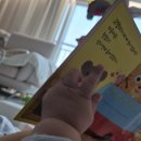 꽃에꽂히다 | 180일 아기, '색감'과 '팝업'에 꽂히다! 6개월 아기 추천 도서 리스트