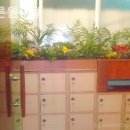 푸른원룸텔