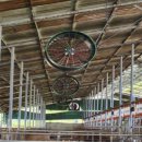 한우축사 이미지