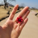 성안농장 | 예산 서산 태안 1박2일 여행코스 1편, 예산 사과 먹방부터 해미읍성 봄 산책까지🌸