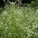 용추산장 이미지