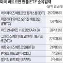 와이즈오리진 이미지