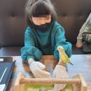 앵무새카페 이미지