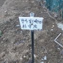 구름사이펜션 이미지