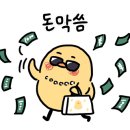 미스초이 이미지