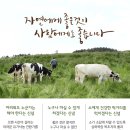 상하푸른목장 이미지
