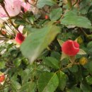 농업인회관 화장실 이미지