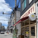 요마이거트 | 익산 대학로 신동 그릭요거트 “요마이거트” - 메뉴, 위치, 추천, 솔직후기