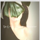 바우네 민박 | 못해 본 여자 길게스트하우스 산과바다사이