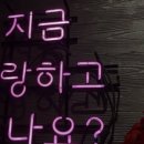 도우도우 이미지