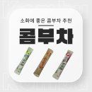 콤부차 효과 및 내돈내산 제품 추천( 티젠,담터 콤부차 후기)