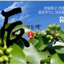 농업회사법인휴림황칠 (주)