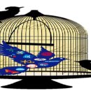 은산시장 이미지