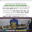 부산안락동우체국 이미지