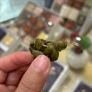 만나당 신세계백화점 강남점