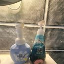 사계호스텔 이미지