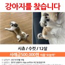 남양주IC 이미지