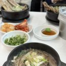 미엘나잇