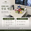자작나무 | 서울 근교 포천 카라반 청계호수자작나무숲 캠핑장 스파카라반 숙박 후기