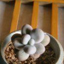 (주)성영 이미지