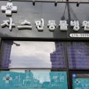 자스민 동물병원 이미지