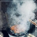 백년오리 이미지