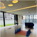 반려담애견유치원 이미지