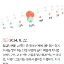 올해 처서매직 딱 알려드립니다 이미지