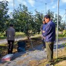 허석영[26회] "태추단감" 샛터골 농장주 한국과수협회 정회원으로 가입합니다. 이미지