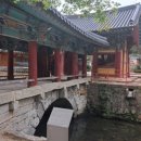순천-59호 네이버블로그