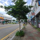 대광사진관 - 포항시 남구 일월로 144 | 대광사진관
