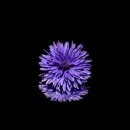 공인중개사(1차과목) 이미지