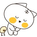 하이브이알 이미지