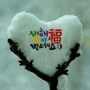 쑤쑤네일