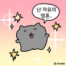 고한시네마 | 23’ Nov. diary 4- 정선고한맛집 청년다방/고한시네마후기/삼척맛집 연이네왕소금구이/강릉샤브샤브...
