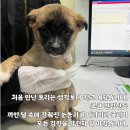 토리스토리 이미지