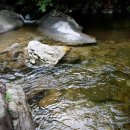 푸른숲황토방 이미지